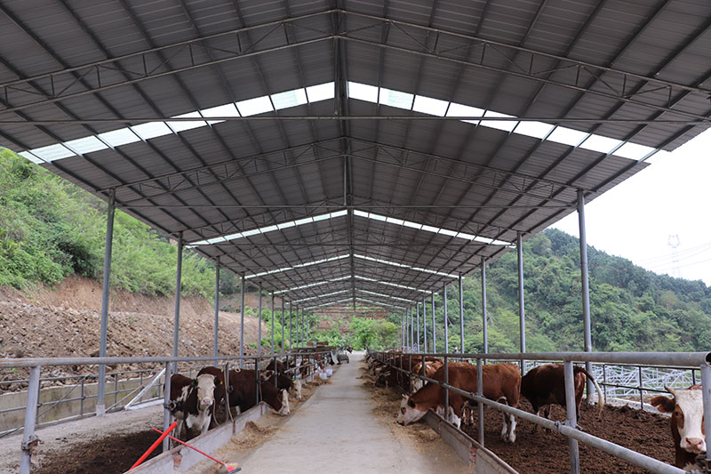 New Breeding Facility